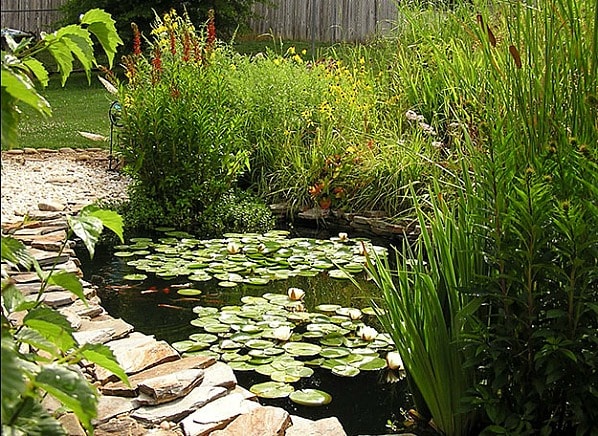 Water Saving Landscaping Lawn Care Tips Consumer Reports News   EPA  Water Saving Landscaping1